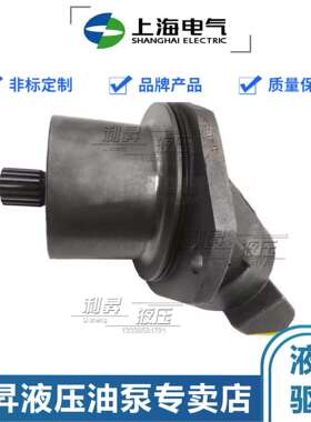 上海电气斜轴柱塞马达A2FE56/63/80/90/107/125/160W6.1VZL10PT20