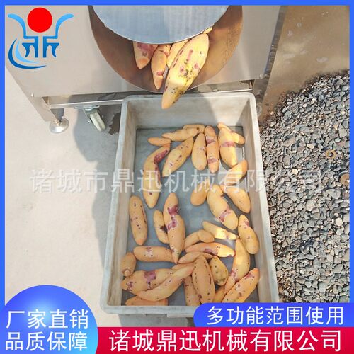 鼎迅土豆芋头莲藕毛辊清洗机