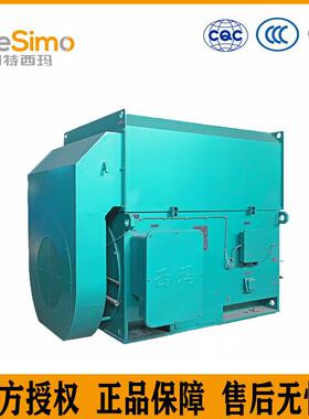 泰富西玛集团YXKK4504-8280KW50HZ10KVB35异步电动机