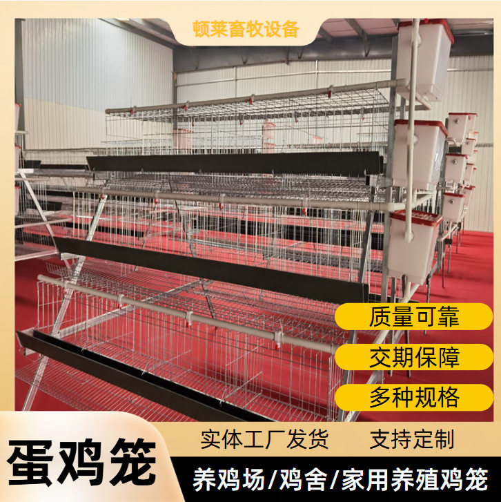 厂家批发外贸定点A型阶梯鸡笼