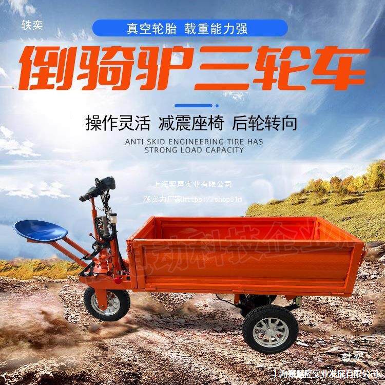 电动带车厢载重王推车搬运车工地拖板驾驶拉货车仓倒骑驴方向总成