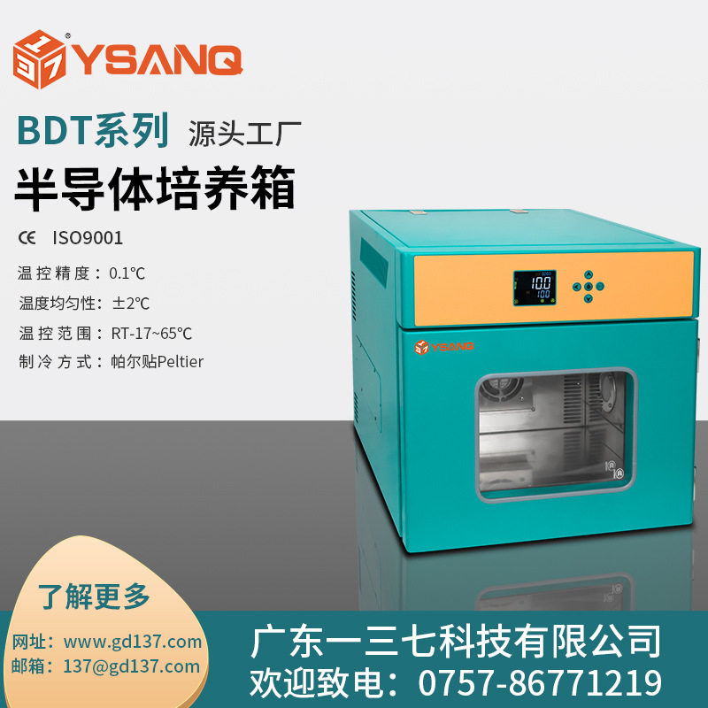 广东一三七科技BDT系列半导体培养箱低温细菌霉菌微生物培养箱