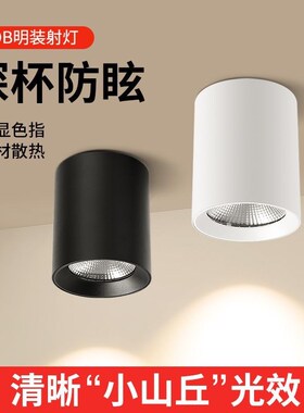 明装筒灯射灯leld天花灯免开孔家用圆形吸顶式玄关走道卧室无主灯