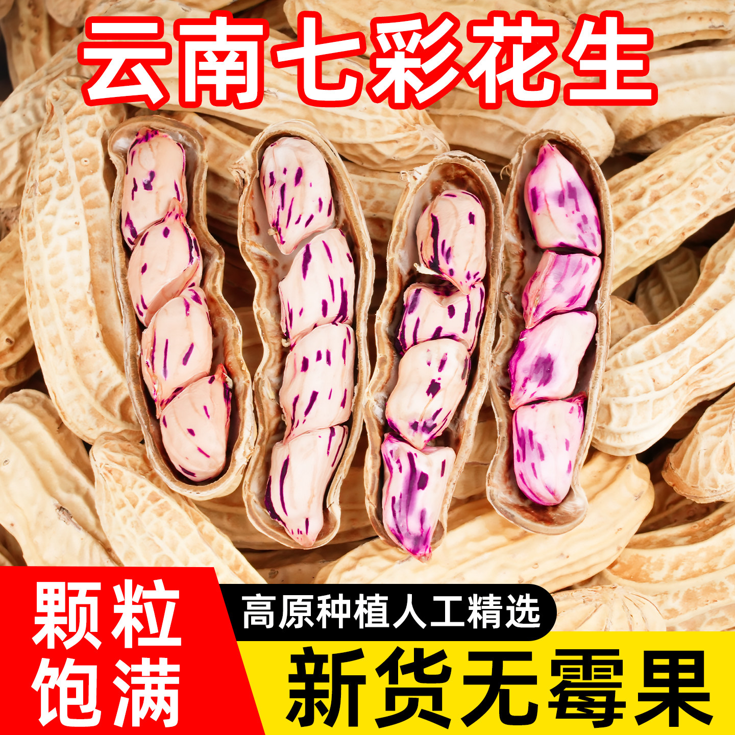 【新品】正宗云南七彩花生原味生花生甜脆炒货原料带壳生野地花生