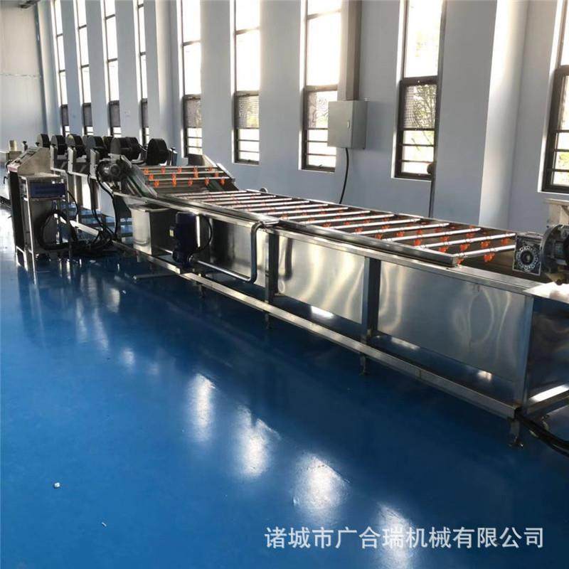 气泡果蔬清洗机 大姜菠菜莴笋全自动气泡喷淋洗菜机 商用洗果机