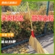 金丝草扫把温州铁扫帚加厚扫水去灰尘学校物业观音草水泥地大笤帚
