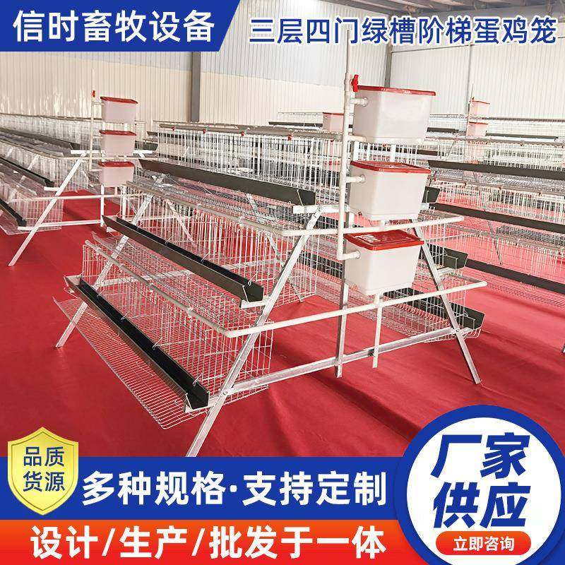 A型阶梯蛋鸡笼源头厂家三层四门阶梯蛋鸡笼热镀锌鸡舍家用养殖,畜牧/养殖物资,特种养殖设备,淘宝优惠券,粉丝福利购,淘宝优惠卷