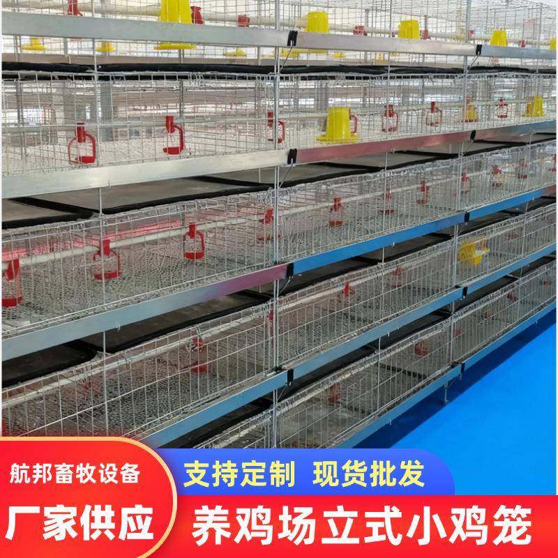 育雏笼四层立体式镀锌鸡舍养殖笼厂家小鸡笼畜牧农用养殖雏鸡笼,畜牧/养殖物资,特种养殖设备,淘宝优惠券,粉丝福利购,淘宝优惠卷
