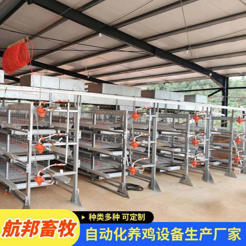 三层立式肉鸡笼全自动框架肉鸡笼厂家镀锌铁丝层叠式养殖设备,畜牧/养殖物资,特种养殖设备,淘宝优惠券,粉丝福利购,淘宝优惠卷