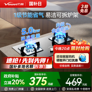 双灶猛火灶具B7L51 政府补贴 万和燃气灶嵌入式 家用液化气台式