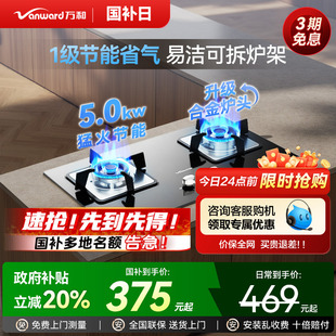 双灶猛火灶具B7L51 政府补贴 万和燃气灶嵌入式 家用液化气台式