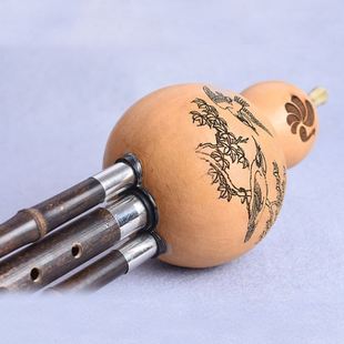 金羽冠葫芦丝乐器初学C调降B调小学生儿童成人初学者入门胡芦丝
