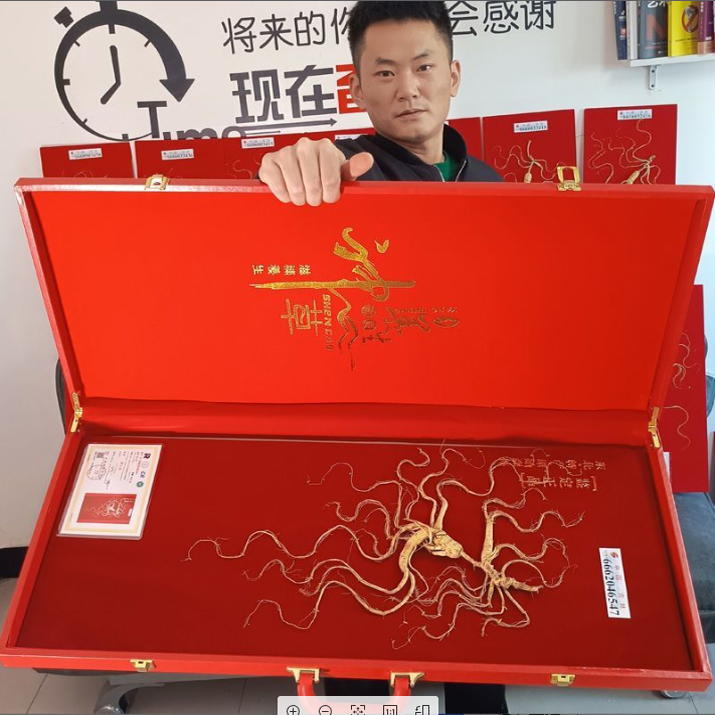 东北特产长白山人参林下野山参礼盒装高档送父母亲领导长辈礼物品