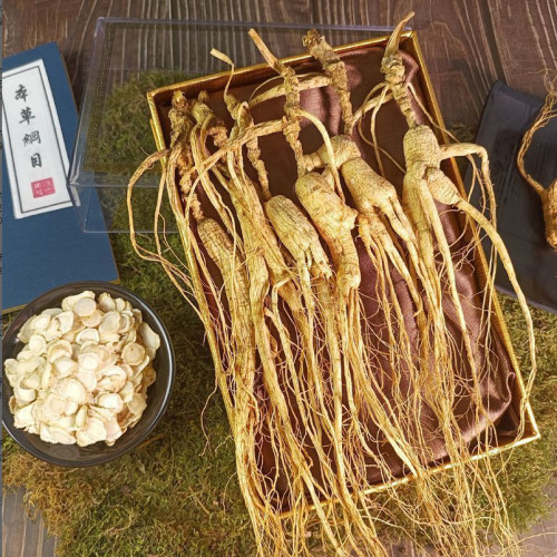 人参林下参野山参移山参
