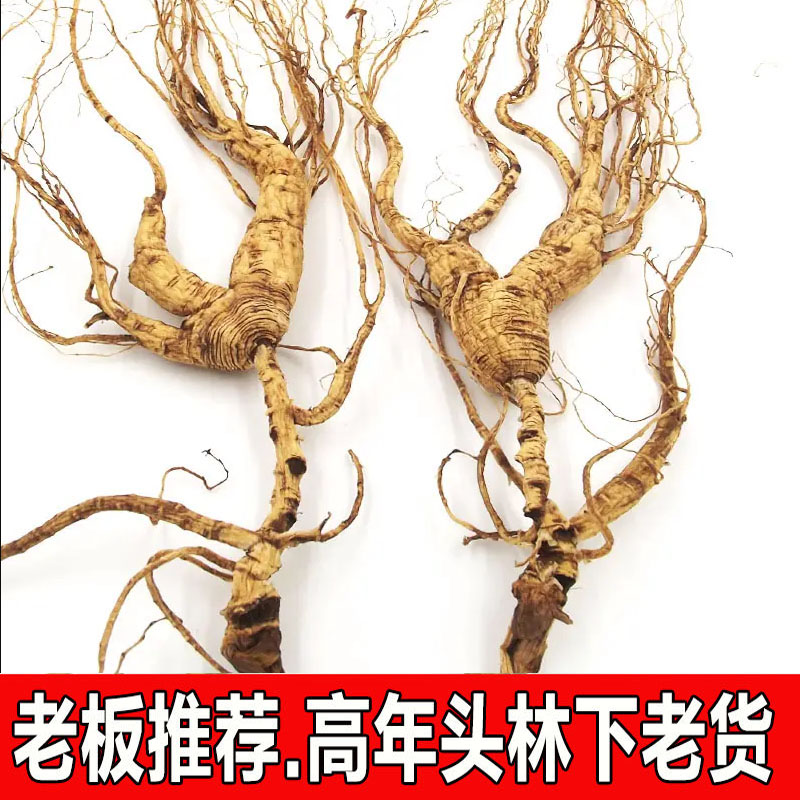 人参林下参野山参残参
