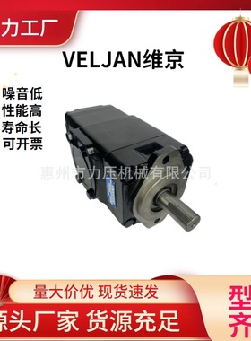 维京VELJAN叶片泵 中联重科垃圾车油泵 垃圾压缩站液压油泵VT6CCW