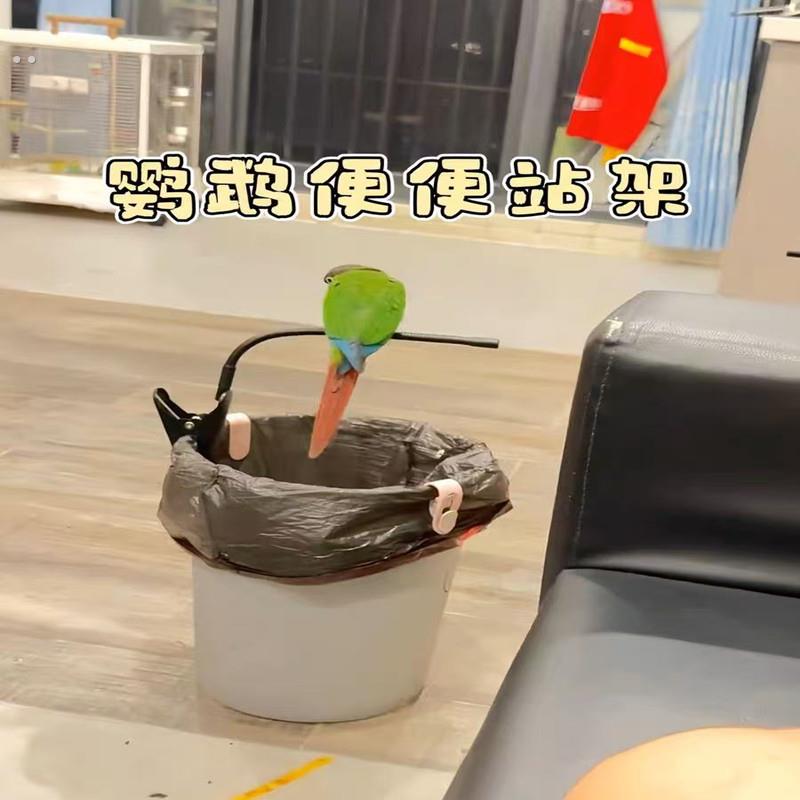 鹦鹉定点多功能排便垃圾桶站台牡丹玄凤小太阳厕所拉屎训练神器