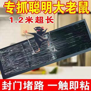 超强力粘鼠板大老鼠贴捕鼠老鼠神器克星透明隐形大号家用灭黏粘鼠