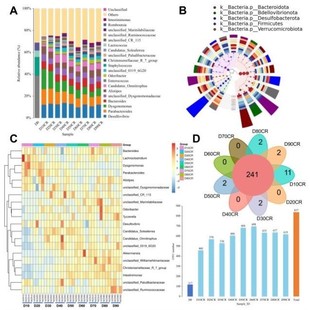 帮微生物16s宏基因组细菌基因组进化次级代谢基因簇蛋白分子对接