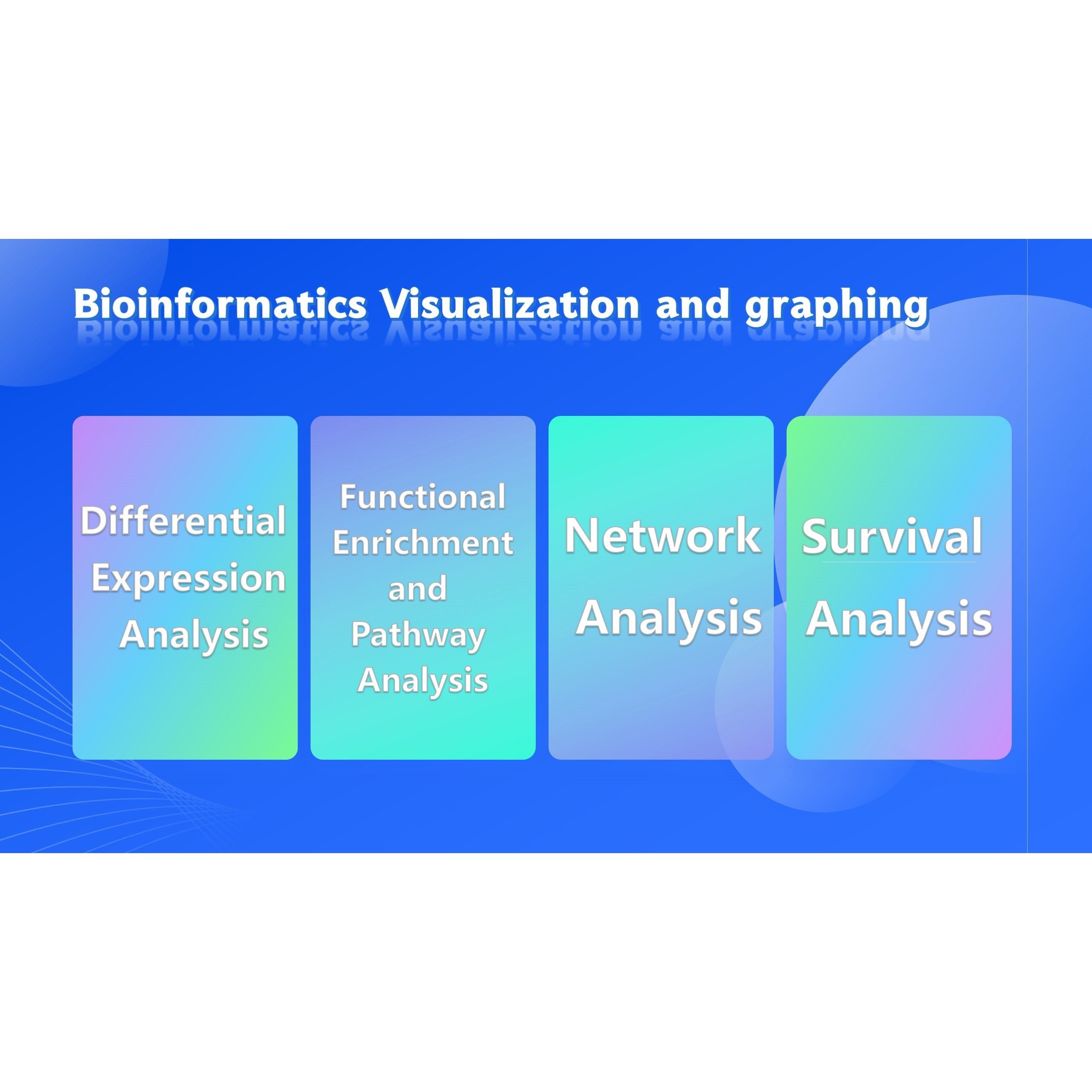 生信作图 Bioinformatics Visualization and graphing