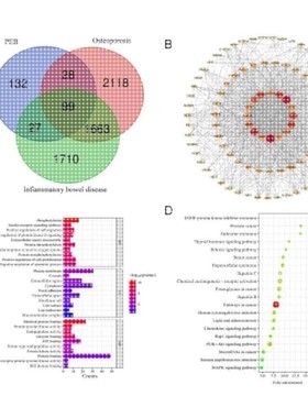 分子动力学模拟 DFT计算高斯 MS Gaussian Materials studio