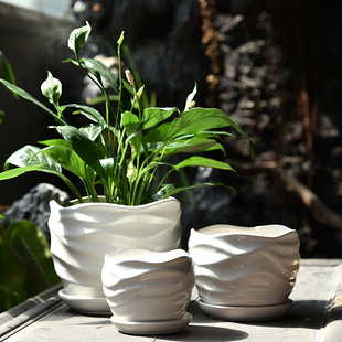 花盆陶瓷典雅意简约绿萝阳台吊兰创意个性家居多肉小花盆居家日用