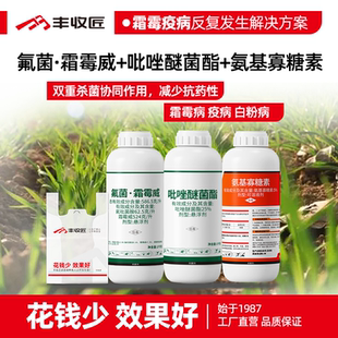 氟菌霜霉威吡唑醚菌酯氨基寡糖素农药组合霜霉疫病白粉病小麦黄瓜