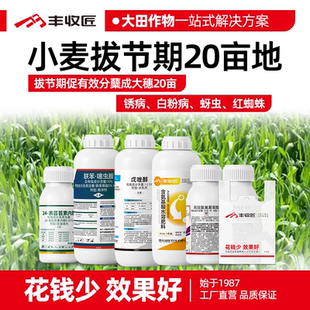 小麦拔节期促有蘖农药组合联苯噻虫胺戊唑醇蚜虫锈病白粉病红蜘蛛