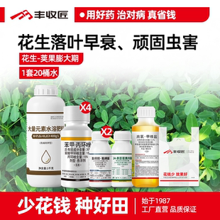 花生荚果膨大期农药组合叶斑病锈病甜菜夜蛾落叶早衰抗性肉虫增产