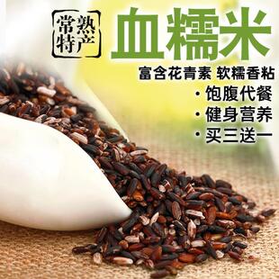 新江苏常熟鸭血糯米粗纤维饱腹健身代餐粽子饭团香粳黑紫糯米1kg