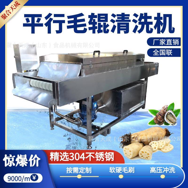 商用油桃毛刷洗果打蜡机全自动高压清洗生蚝设备胡萝卜生姜清洗机