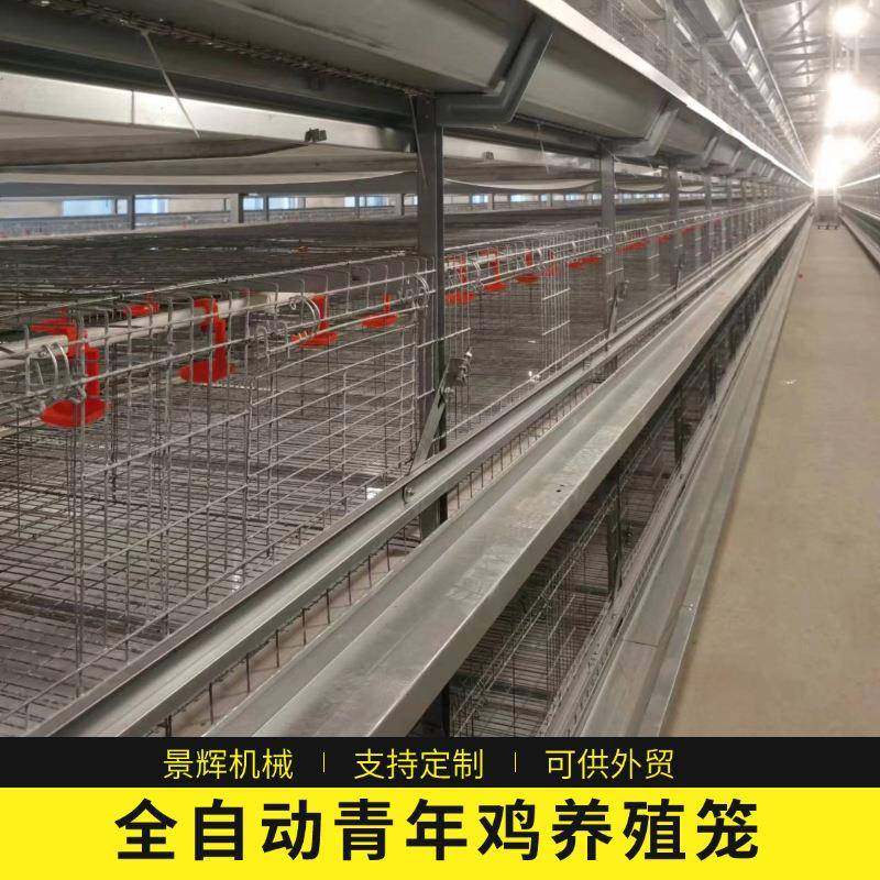 青年鸡全自动框架养鸡笼鸡舍养鸡场层叠式立式自动化养殖设备,畜牧/养殖物资,特种养殖设备,淘宝优惠券,粉丝福利购,淘宝优惠卷