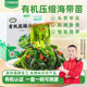 九月 诗连江有机海带苗120g福建新鲜头茬嫩苗免洗压缩干货旗舰店