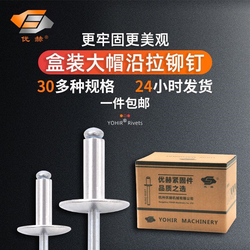 整盒装铝大帽沿抽芯铆钉大头拉z铆钉拉钉拉铆大帽钉大帽帽钉拉卯