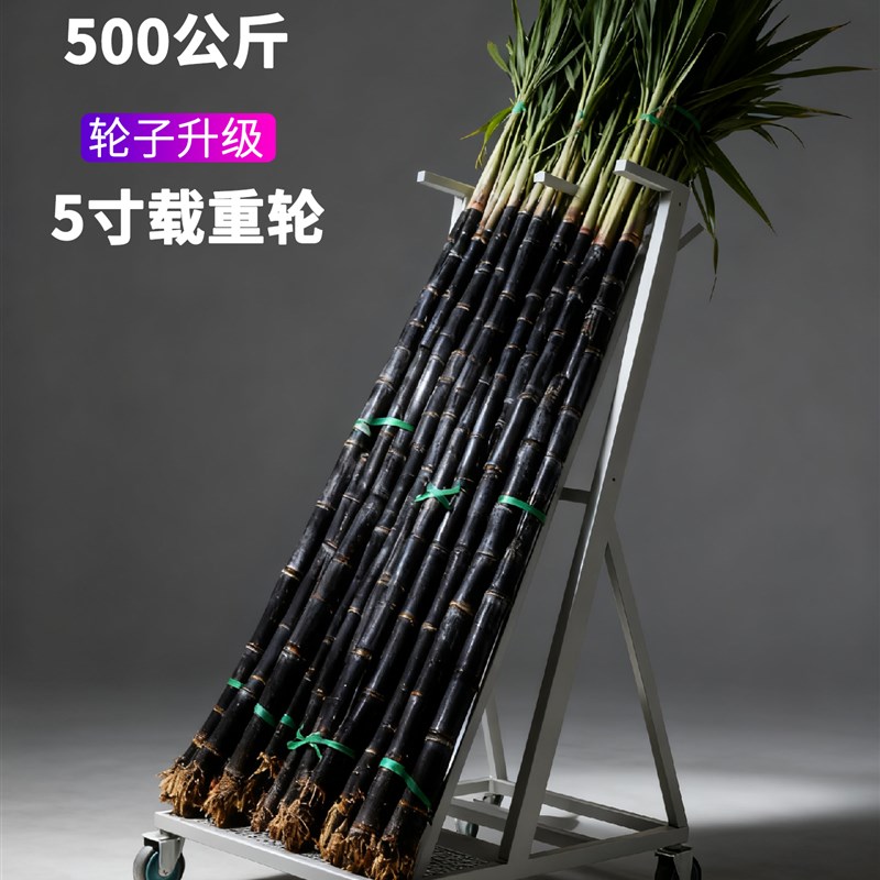 甘蔗展示架d子立放移动式支撑架固定防倒架子支架摆摊陈列专用架