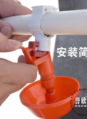 新型育雏水碗 雏鸡自动饮水器乳头饮水碗 接O水杯小鸡育雏水碗养