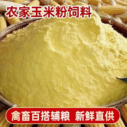 玉米棒子面粉狗粮原打窝钓鱼饵