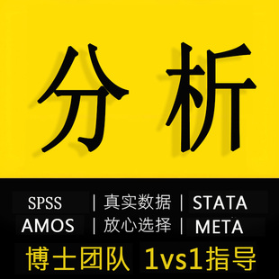 spss数据处理代分析调整指导amos结构方程Stata实证