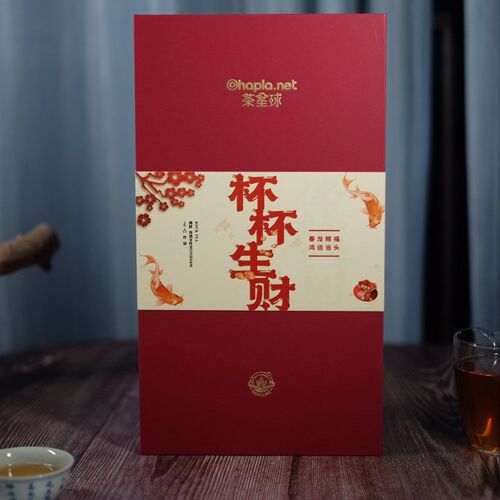 春节礼盒新年随手礼盒武夷岩茶盖碗礼F盒套装年货礼盒龙年茶叶茶