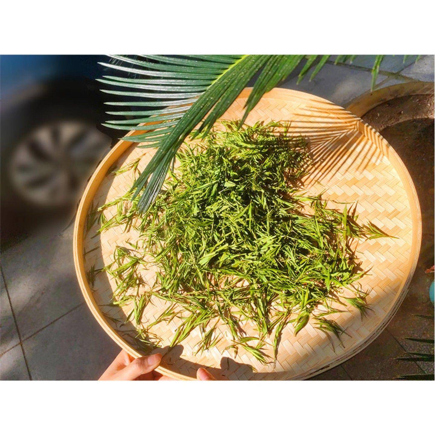 溧阳特产 天目湖南山竹海竹叶茶 茶 竹叶20g* 2包包邮 清香可口