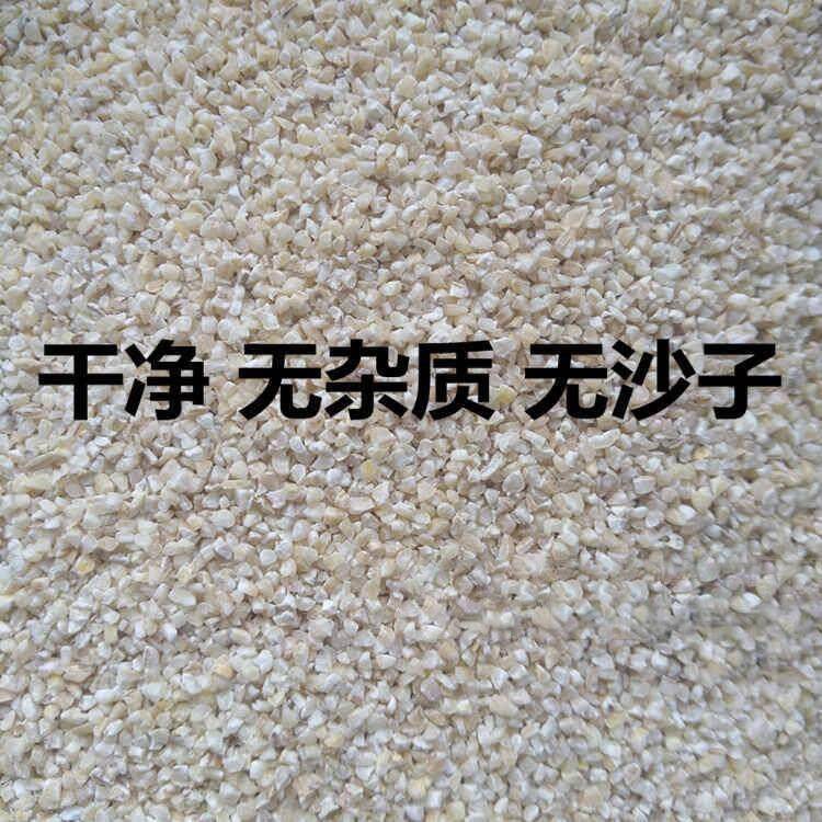苏北盐城农家特产煮粥煮饭大麦糁子彩子磨碎中粗大麦采子5斤包邮
