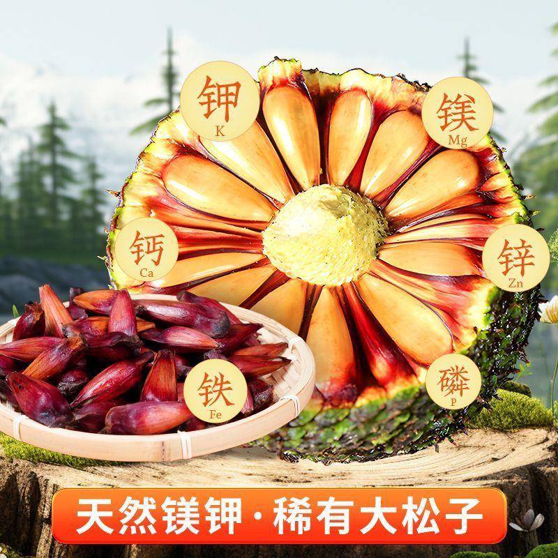 云南巴拉那松子送礼专用特产新货大颗坚果原味休闲零食独立包装