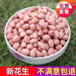 2024年新花生米山东农家新鲜白沙生花生米10斤装商用大粒5斤