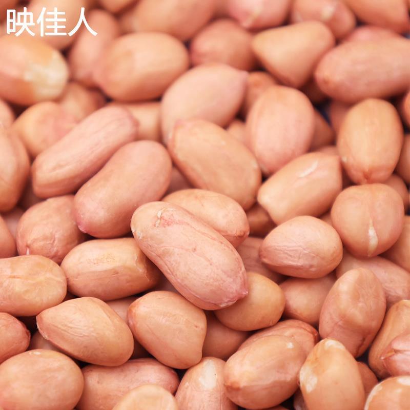 极速23年生花生花生米白沙