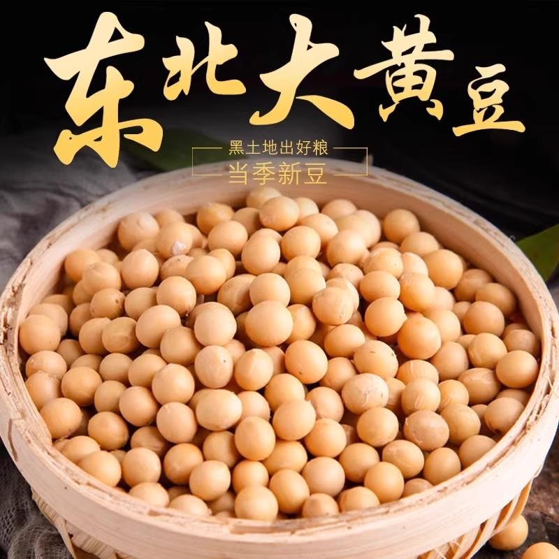 新货东北黄豆打豆浆专用豆子非转基因新大豆生小农家土黄豆5斤