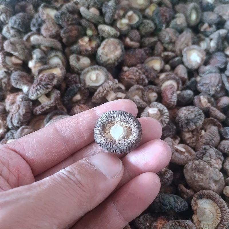 小香菇干货特厚小蘑菇湖北香茹农家黑面菇金钱菇商用冬菇干香姑
