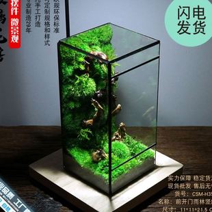 几何玻璃花房小型客厅生态桌面造景缸迷你雨林盒苔藓微景观水草缸