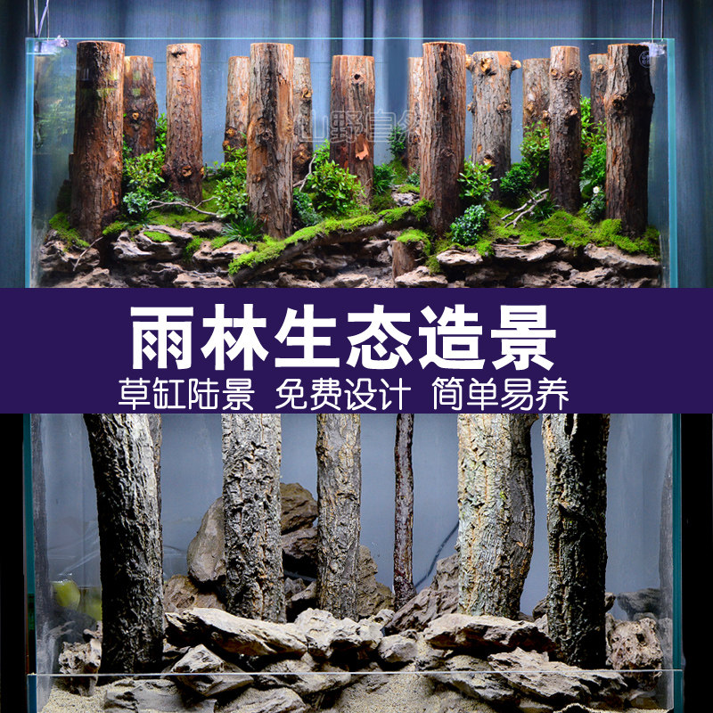 香槟木树干造景鱼l缸水族箱森林直木装饰雨林水陆缸造景套餐非沉
