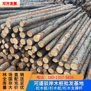 松木原木桩 河边护m坡实木打桩木落叶松围堰木桩 带皮杉木圆木头