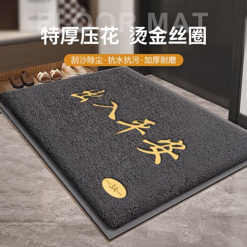 入户门丝圈地垫防滑耐脏进门门口脚F垫子门外除尘门垫出入平安地